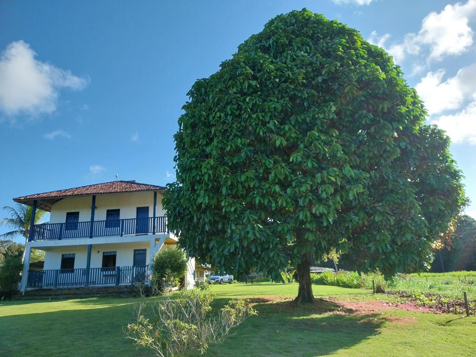 Pousada Rancho Semani Itacaré Eksteriør billede